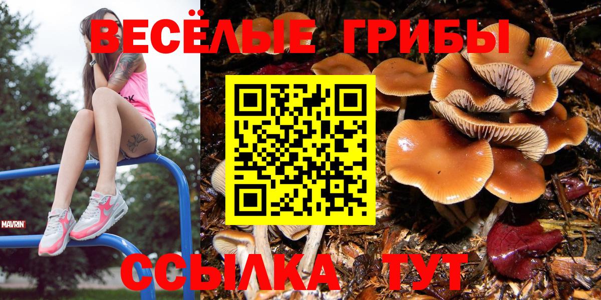 Псилоцибиновые грибы GOLDEN TEACHER Южно-Сахалинск